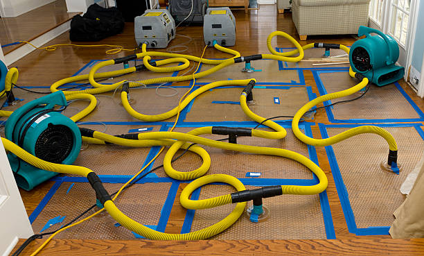 Professional Crawl Space Water Removal technician working in Burlington, WI